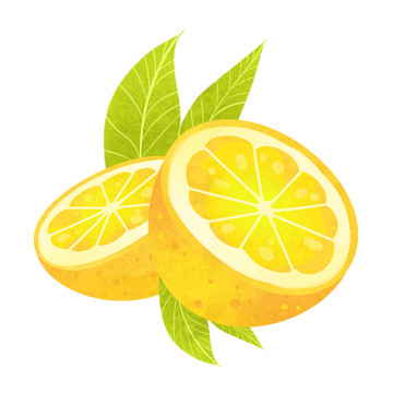 手繪檸檬插畫(huà)