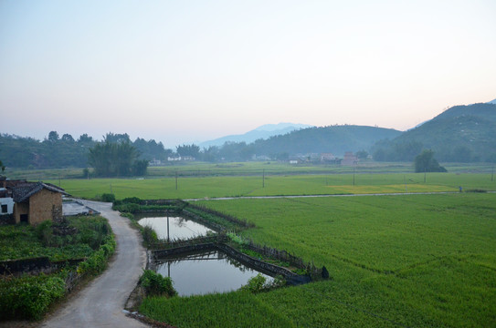 农村早晨