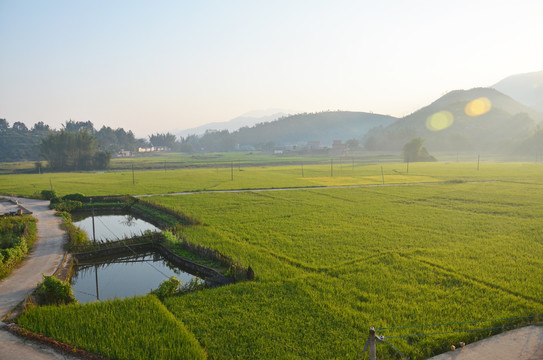 乡村早晨