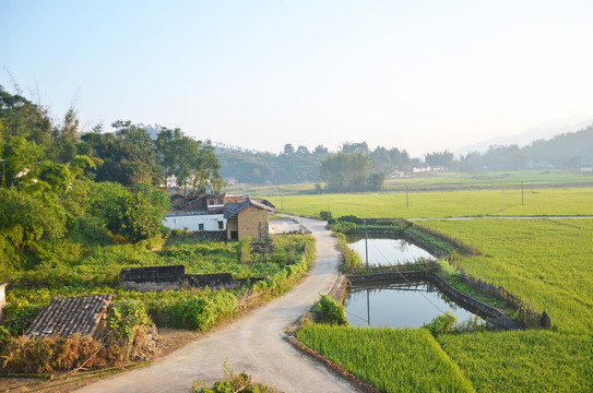 乡村道路