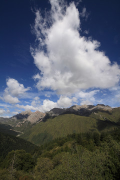 四川阿坝黄龙