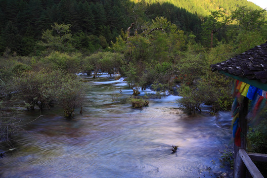 四川阿坝九寨沟风光