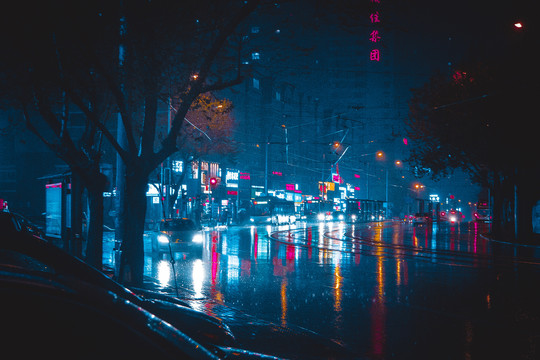 大连都市雨夜景