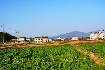 乡村美景