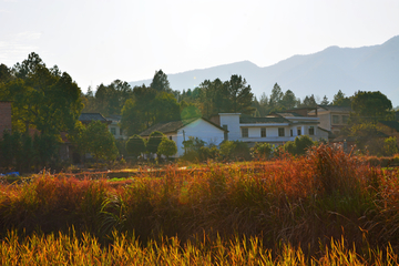 乡村美景