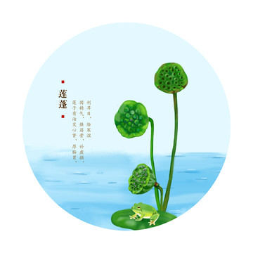 蓮蓬