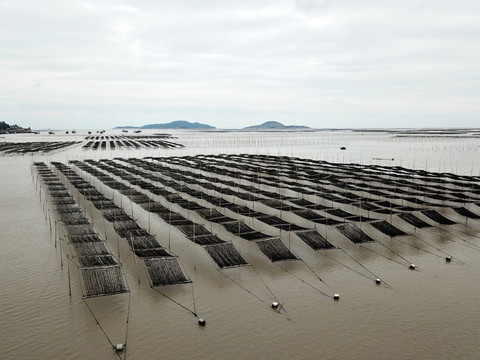 高视角航拍霞浦海产养殖场