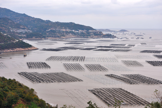 高视角航拍霞浦海产养殖场