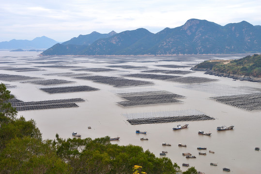 高视角航拍霞浦海产养殖场