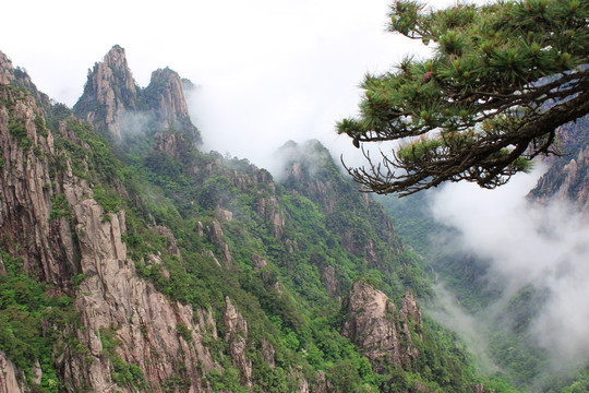 黄山风光