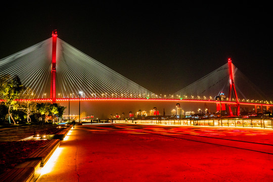 上海杨浦大桥夜景