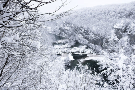 雪天的山林