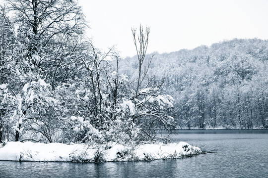 雪天湖岸