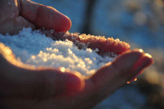 捧雪