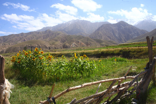 高原风光