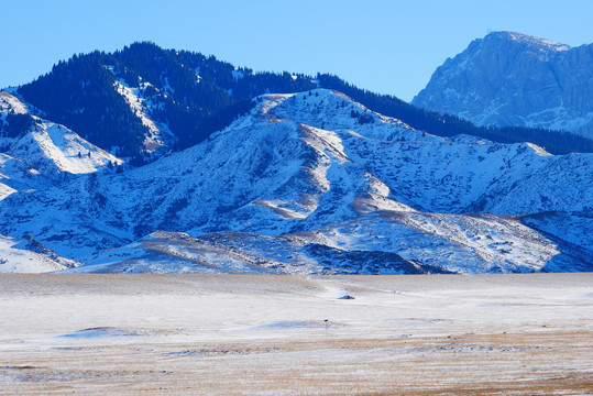 雪景风光