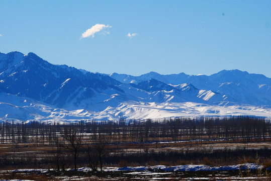 冬季景观