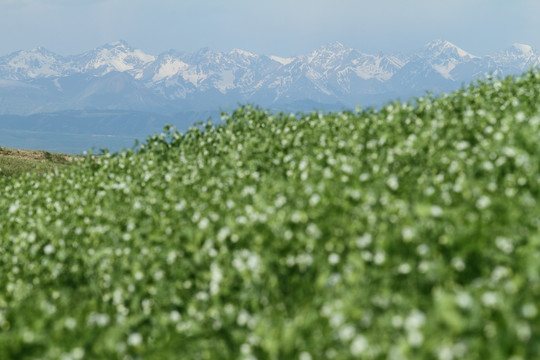 天山