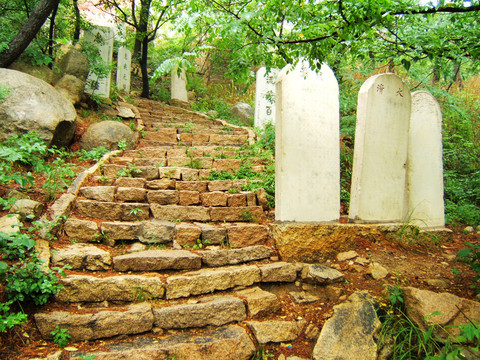 平度大泽山风光