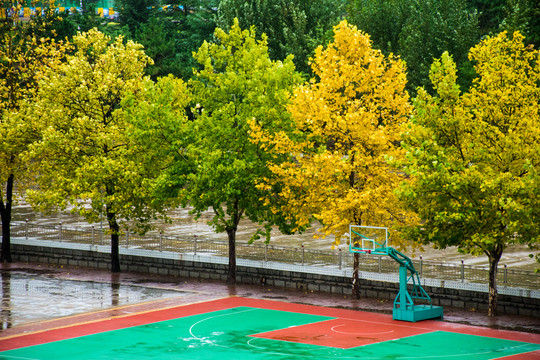 雨后的篮球场