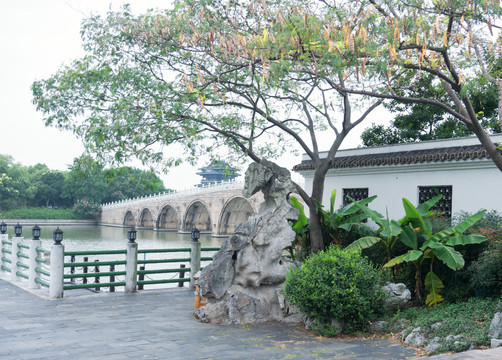 宜兴团氿景区山石拱桥芭蕉