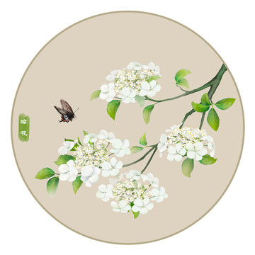 瓊花