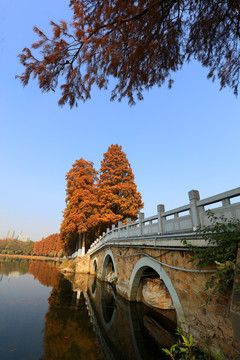 武汉东湖公园