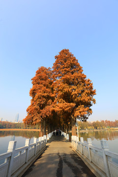 武汉东湖公园