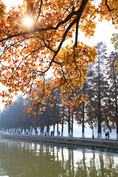 武汉东湖风景区