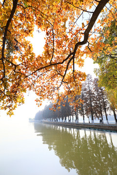 武汉东湖风景区