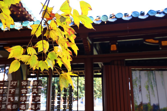 武汉东湖风景区