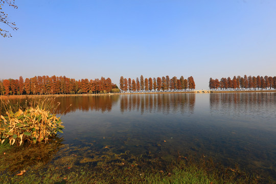 武汉东湖公园