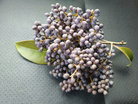 紫色小果子