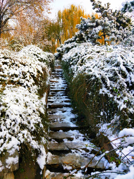 雪后小路