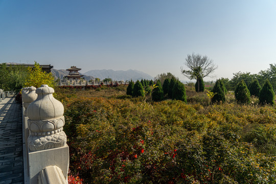 黄河坛