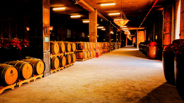 红酒橡木桶酒窖