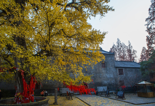 襄阳广德寺