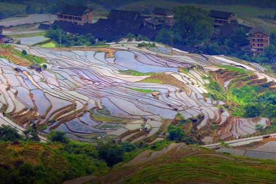 龙脊梯田