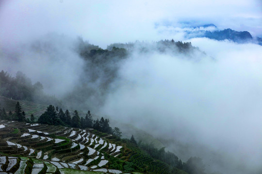 龙脊梯田