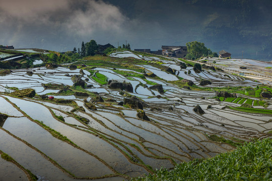 龙脊梯田