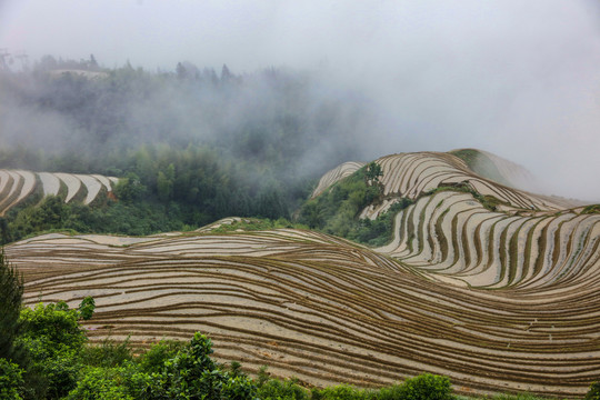 龙脊梯田