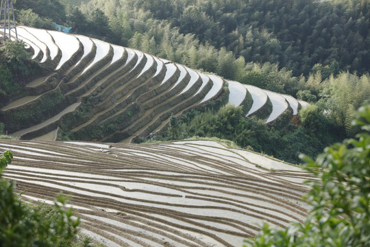 龙脊梯田