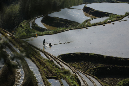 龙脊梯田