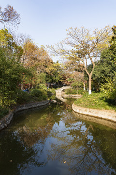 池塘秋景