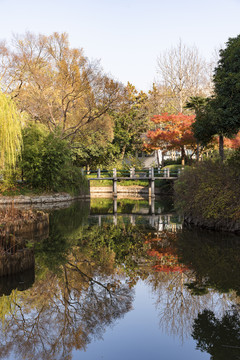 池塘秋景石桥