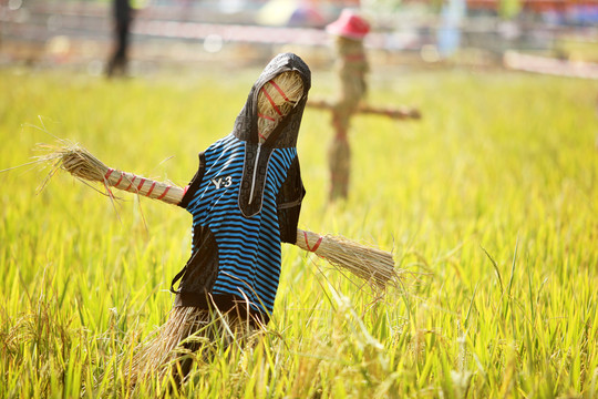 稻草人