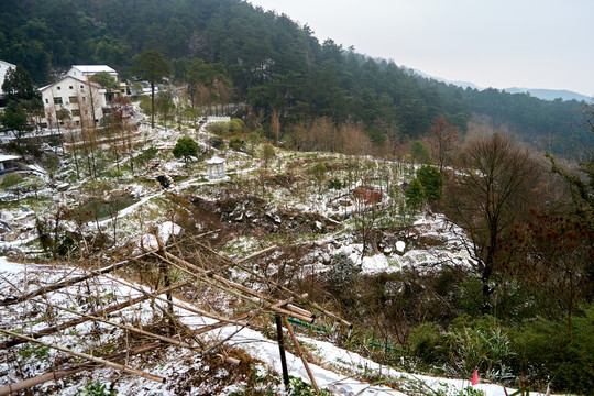 衡山度假村