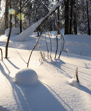 雪韵