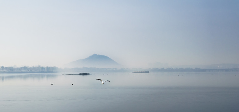 湖面的海鸥与远山