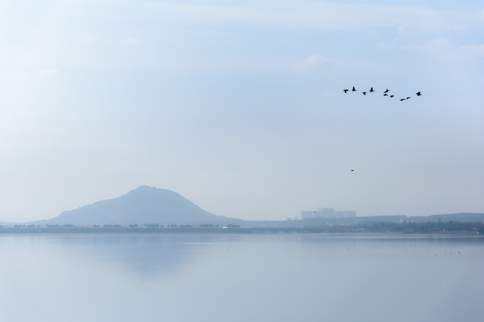 湖光山色与水鸟